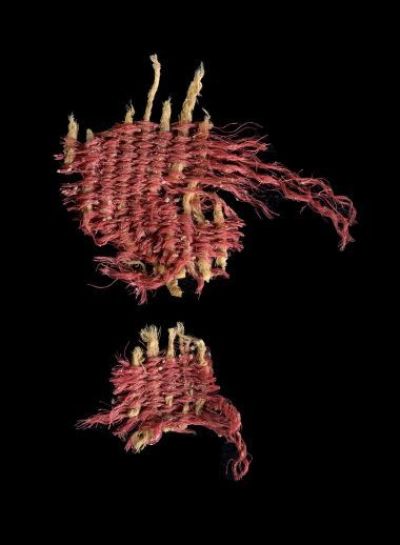 Archaeologists find ‘scarlet worm’ red dye mentioned in the Bible