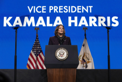 The Biden Coup and the Harris Backfire