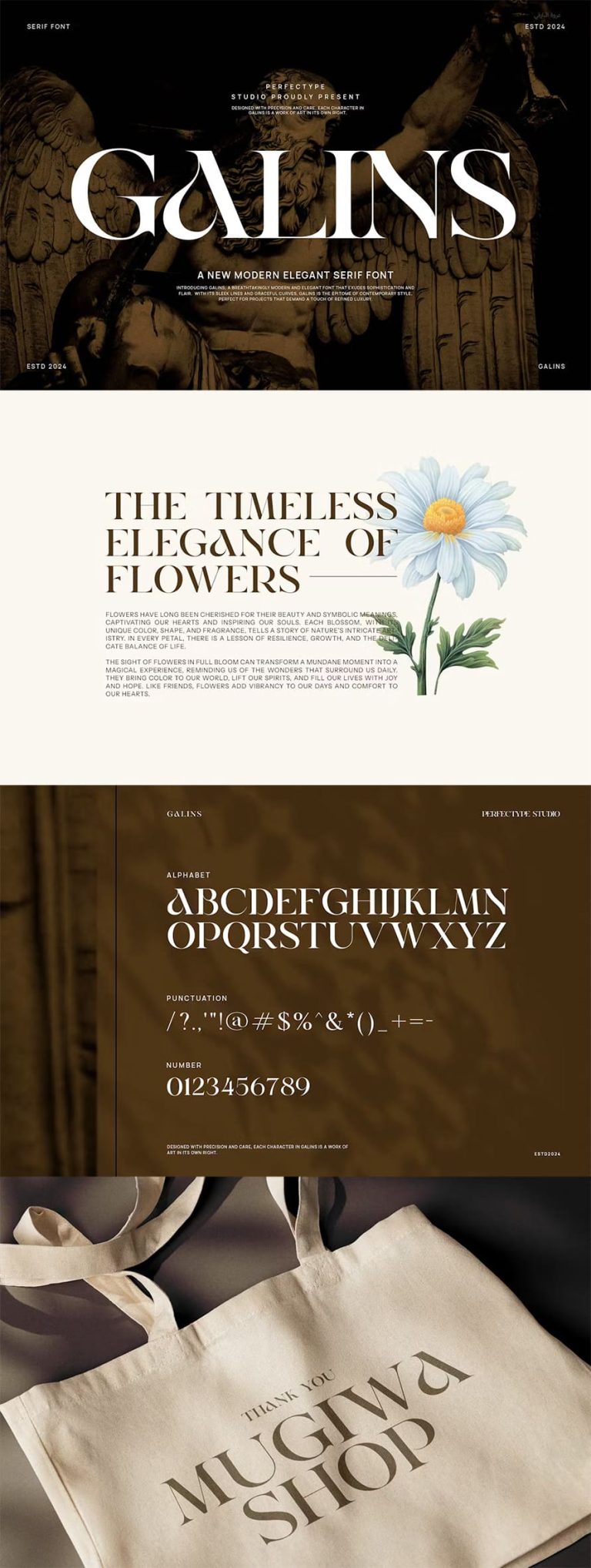 15+ Luxury Modern Serif Fonts For Graphic Designers Graphic Design Junction