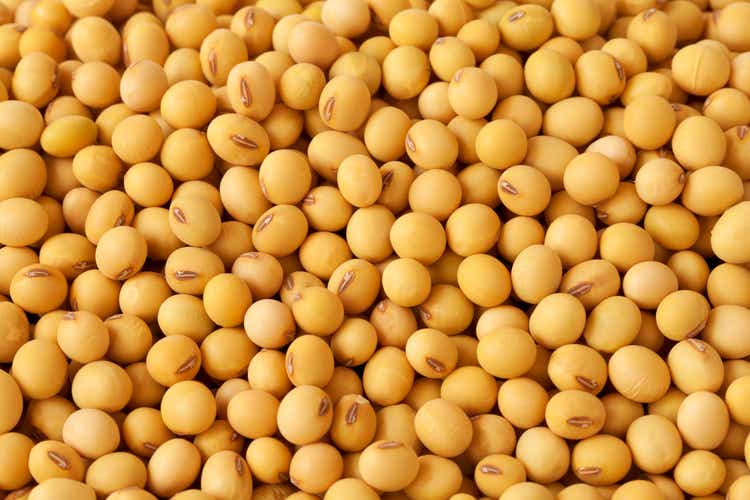 Soybeans sink as U.S. weather seen improving, reversing recent rally (NYSEARCA:SOYB)