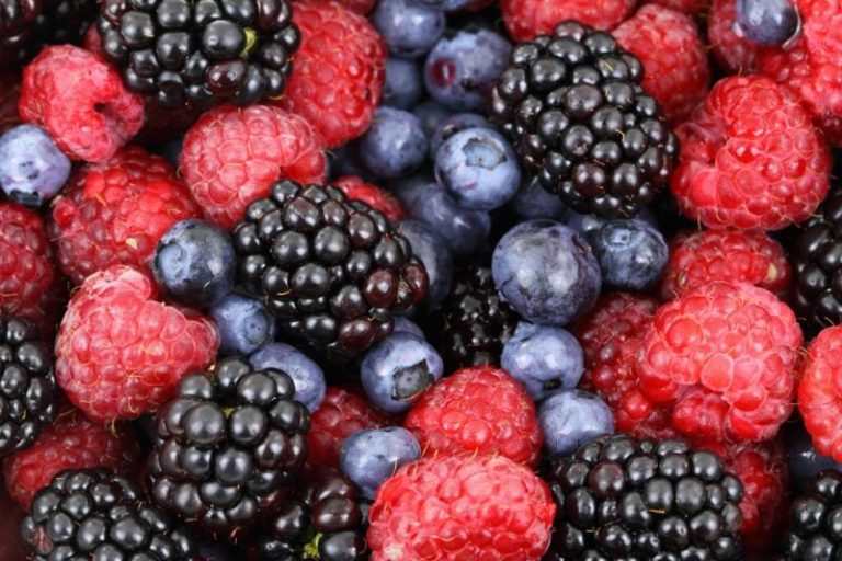 Types of Berries ⋆ 100 Days of Real Food
