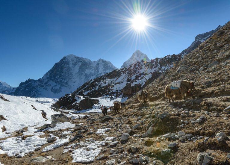 11 Best Hiking Treks To Experience in Nepal