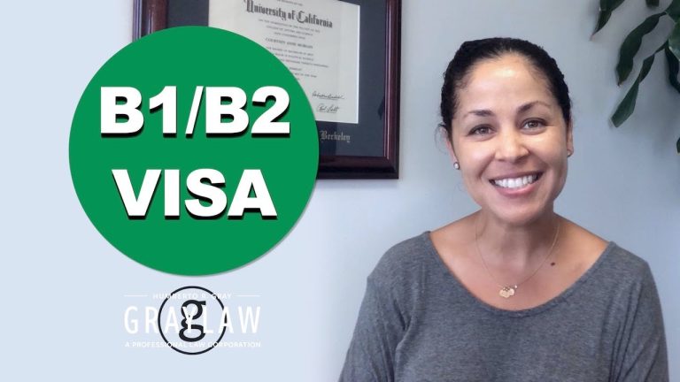 Tourist Visa to USA – Apply for Visitor Visa US – US Visa – B1/B2 Visa Step by Step – GrayLaw TV Mushenee