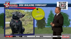 Dog walking forecast 9.5.24