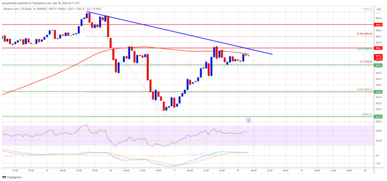 BNB Price Set to Outperform: Is a Breakout Coming Soon?