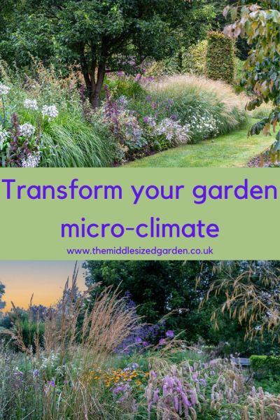 Right plant, wrong place? How to create your ideal garden micro-climate – The Middle-Sized Garden