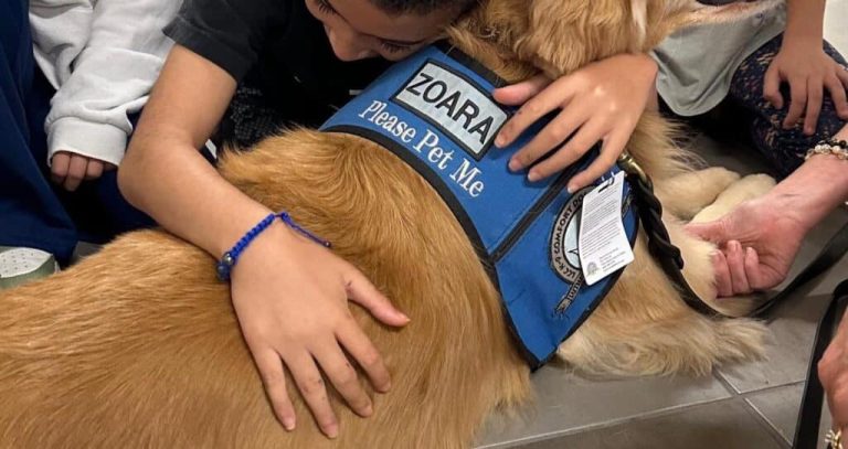 Comfort Dogs Head To Apalachee High School After Shooting