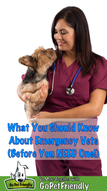 What You Need To Know About Emergency Vets