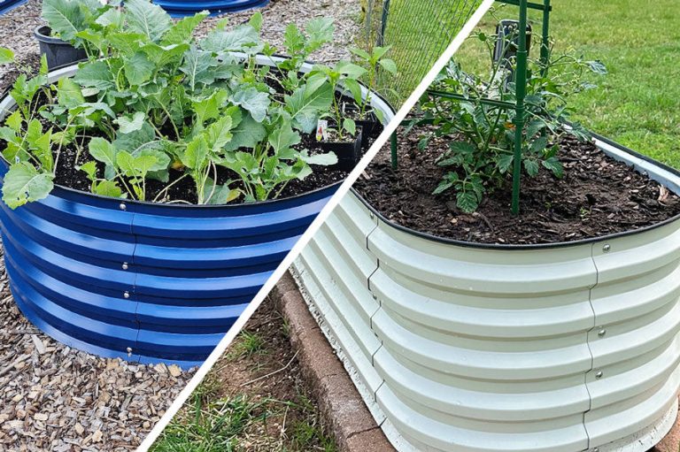 How Metal Raised Bed Color Affects Soil Temperature