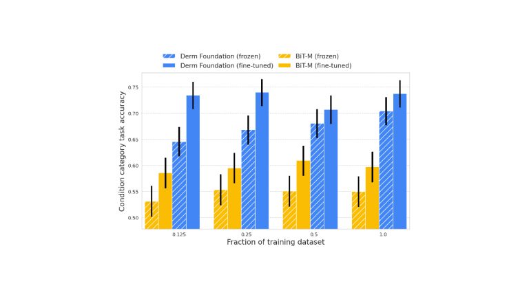 Health-specific embedding tools for dermatology and pathology