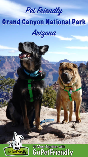 Pet Friendly National Park: The Grand Canyon