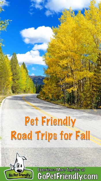 GoPetFriendly.com’s 10 Best Pet Friendly Road Trips for Fall