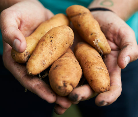 Growing Potatoes – The Little Veggie Patch Co