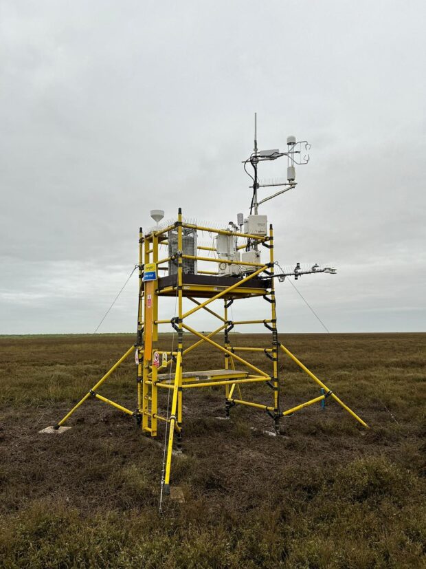 New research project launched by the Environment Agency to monitor saltmarsh’s carbon capture and storage – Creating a better place