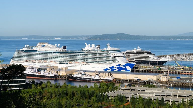 Cruise Port Hit by Potential Cyber Attack that Also Impacted International Airport