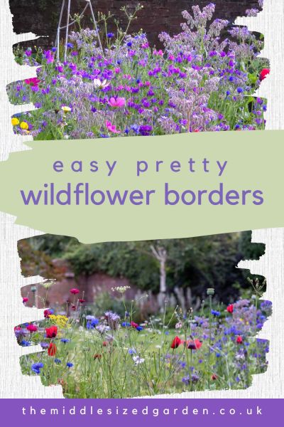 How to grow wildflowers – add colour to your garden all summer long! – The Middle-Sized Garden