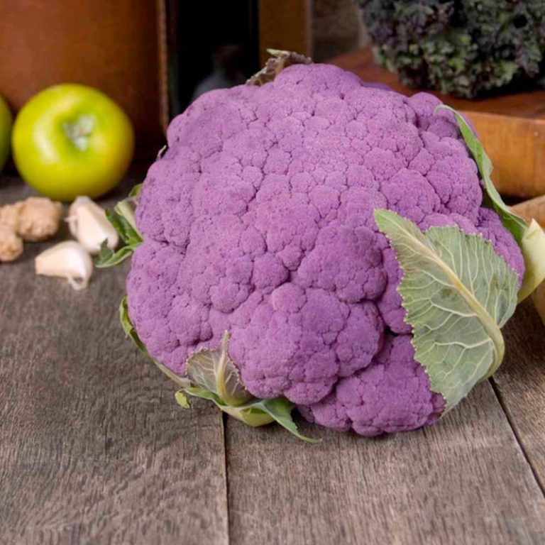 How to grow cauliflower – Suttons Gardening Grow How