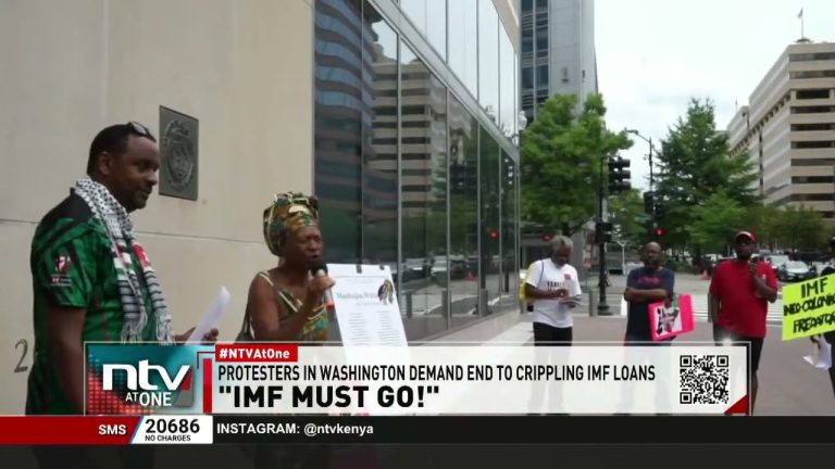 Kenyans living in the US protest outside IMF Headquarters, demand an end to crippling loans Mushenee