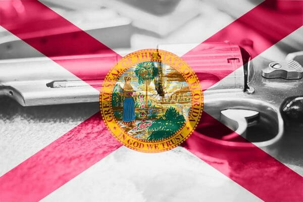 Florida City Issues Gun Ban because of Hurricane Helene