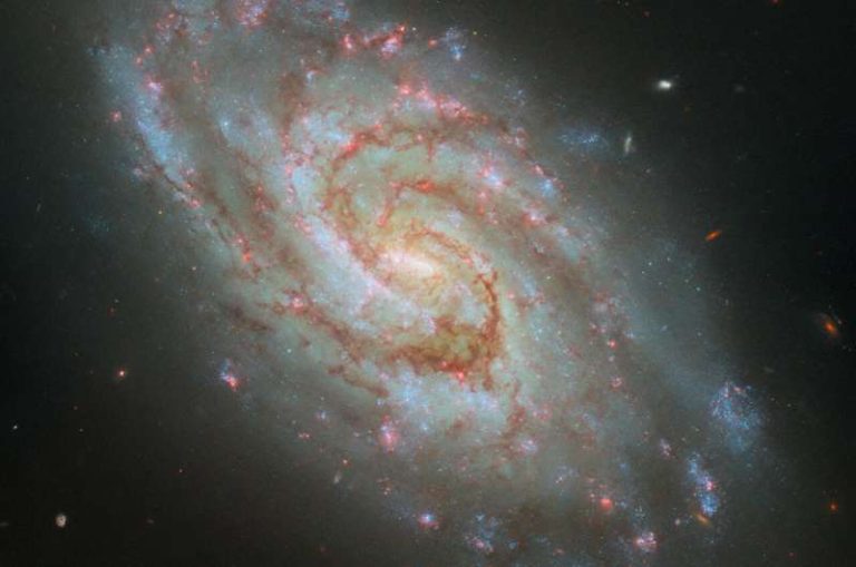 Hubble captures stellar nurseries in majestic spiral galaxy IC 1954